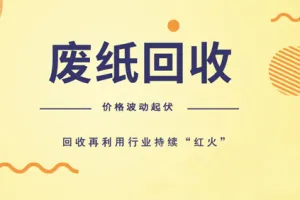 废纸价格波动起伏 回收市场持续火爆