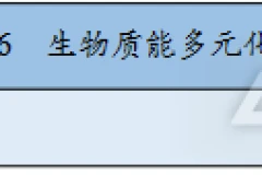 九部门联合印发《“十四五”可再生能源发展规划》，生物质能受关注