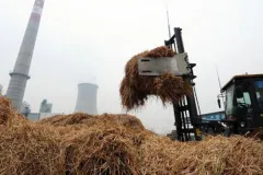 生物质燃料的优势，你了解吗？