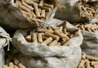 洁普环保生物质颗粒生产线助力沙柳变生物质颗粒燃料