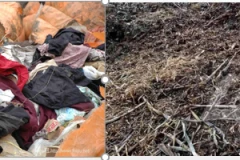 生活垃圾除了填埋、焚烧还能如何处置？