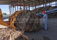 生物质秸秆破碎机哪种设备比较合适?