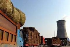 农作物秸秆如何清洁高效地“消化”？生物质燃料预破碎系统了解一下