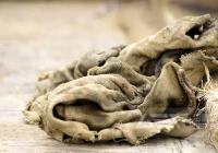 大量油抹布、油毡破碎为何选择封闭式楼式破碎系统？