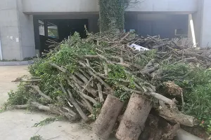 园林垃圾该如何处理?绿化垃圾破碎处置介绍