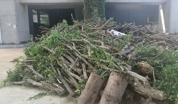 园林垃圾该如何处理?绿化垃圾破碎处置介绍