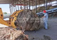 玉米秸秆秸秆回收利用工艺厂家来给您介绍