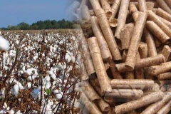 将棉花秸秆变成生物质电厂燃料，减少化石能源消耗，促进循环经济发展