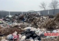 从央视曝光的农村垃圾乱象，看生活垃圾如何“变废为宝”