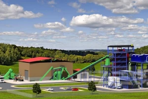 电厂生物质燃料掺烧：概览