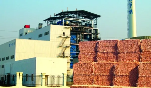 未来，生物质发电行业将继续保持着增长势头