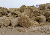 生物质电厂为何需要秸秆撕碎预处理？