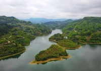 16个“无废城市”试点方案，开启固废的“生命轮回”