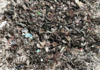 陈腐垃圾资源化处置：唤醒“沉睡”的城市资源