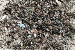 陈腐垃圾资源化处置：唤醒“沉睡”的城市资源