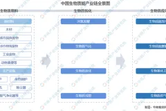 2021年中国生物质能产业链上中下游市场剖析