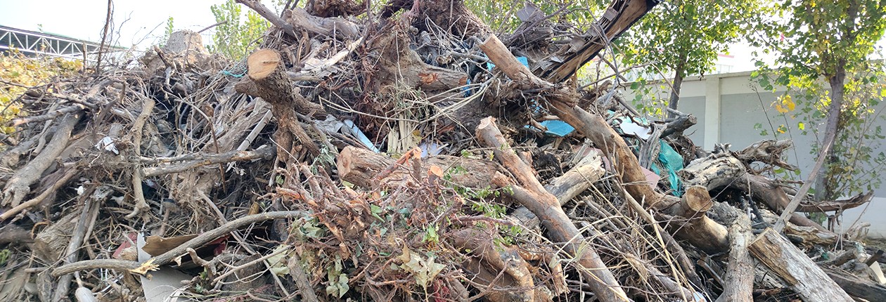 园林垃圾处理前