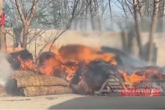 从央视曝光的农村垃圾乱象，看生活垃圾如何“变废为宝”
