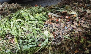 果蔬垃圾综合处置