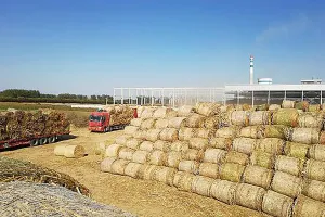 秸秆综合利用效益高：化身新燃料 秸秆变成宝