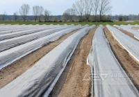 地膜破碎分选资源化系统现状与前景