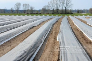 地膜破碎分选资源化系统现状与前景