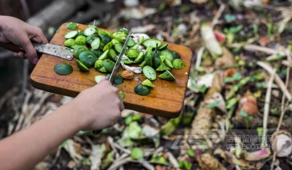 厨余垃圾处理时其中含的杂物总缠绕撕碎机怎么处理