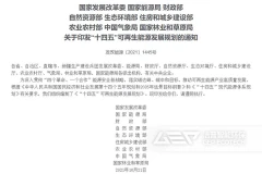 九部门联合印发《“十四五”可再生能源发展规划》，生物质能受关注