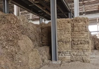 电厂、生物质制甲醇专用稻草撕碎机,出料10-100mm,带试机视频