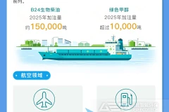 我国绿色燃料发展情况
