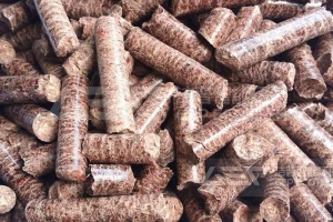 从废枝条到颗粒燃料