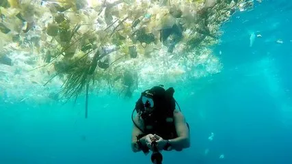 欧盟遏制海洋污染 拟禁用塑料吸管等制品