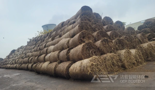 大型电厂都在用这些材料耦合掺烧生物质