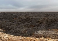 潮湿植物垃圾破碎压块—洁普智能环保整体设备方案