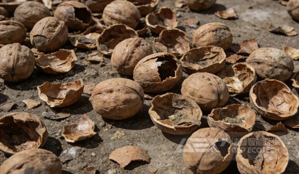 头疼的核桃壳成了“香饽饽”？看它如何变身清洁燃料火遍全国！