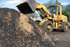 火力发电厂煤炭与生物质掺烧：技术方案、影响和未来前景