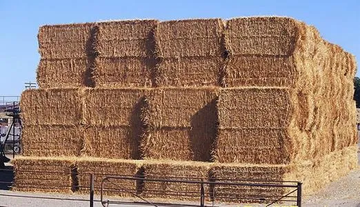 生物质能发电行业发展空间广阔 未来有望迎来新建高峰