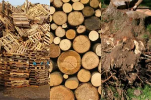 生物质热电联产成为农作物秸秆处置的新风向