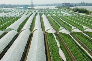 地膜回收处理：2020年残膜回收率有望超80%