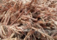 甘蔗叶这样预破碎资源化处置，环保又增收