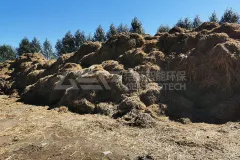 深挖生物质发电潜能，守护绿水青山