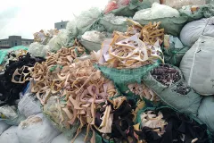 固废处置经典案例：浙江皮革、布类、织物边角料破碎处置利用