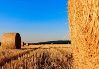 生物质燃料的优势，你了解吗？