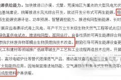 可再生能源替代行动下的生物质能源解决方案