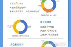 我国绿色燃料发展情况