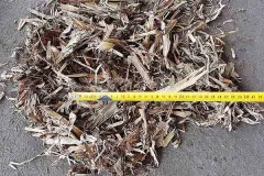 粉碎秸秆的生物质撕碎机多少钱一台?