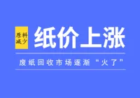 国内纸业上演涨价潮 回收破碎市场逐渐“火了”