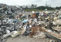 生活垃圾SRF制备工艺：让“废”能发光的资源化新路径