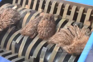 油棕壳破碎做燃料怎么选择撕碎机？