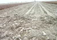 广东农膜、地膜等塑料垃圾处理用什么撕碎机设备？